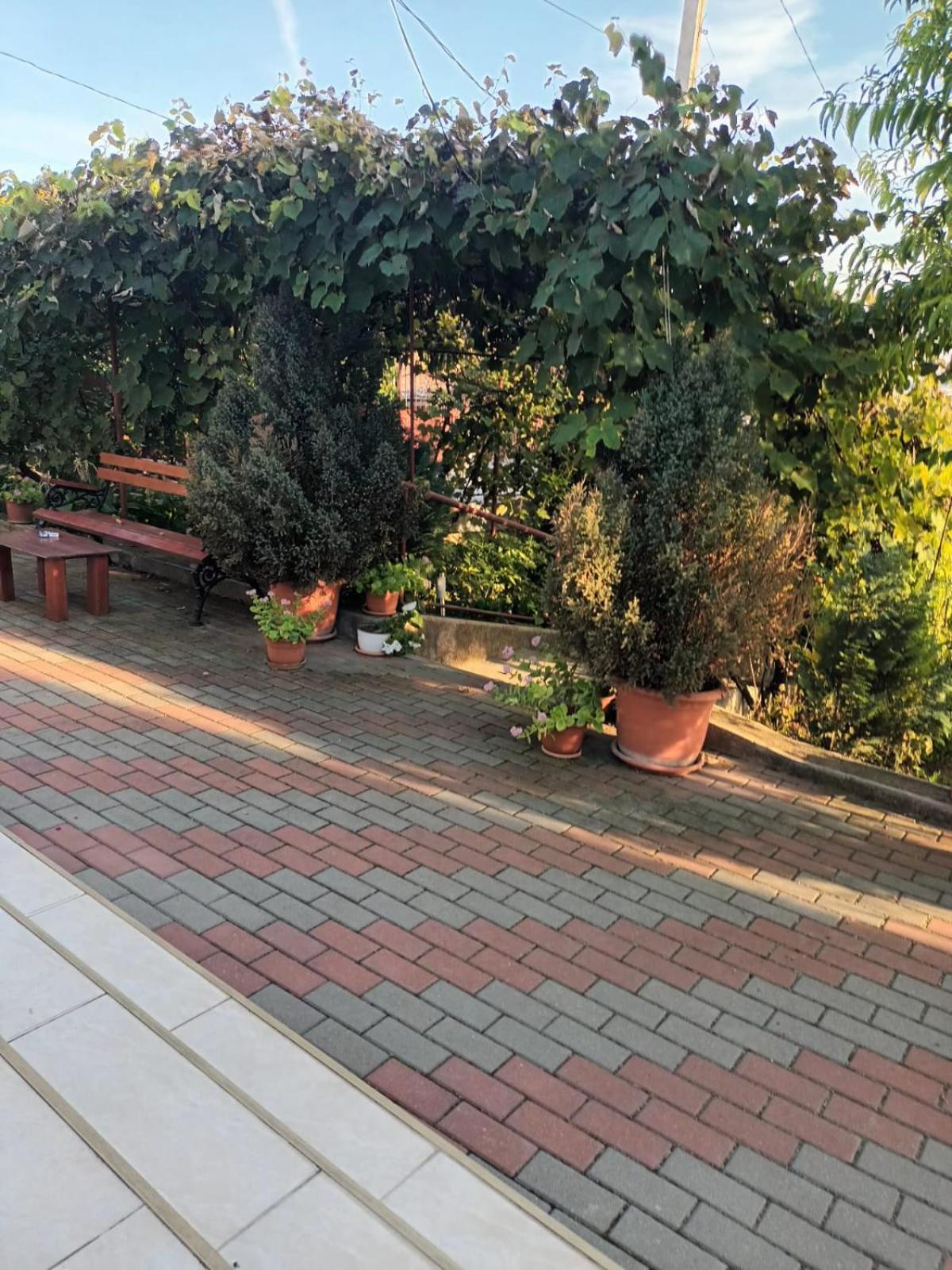 Willa Casa Matei Turda Zewnętrze zdjęcie