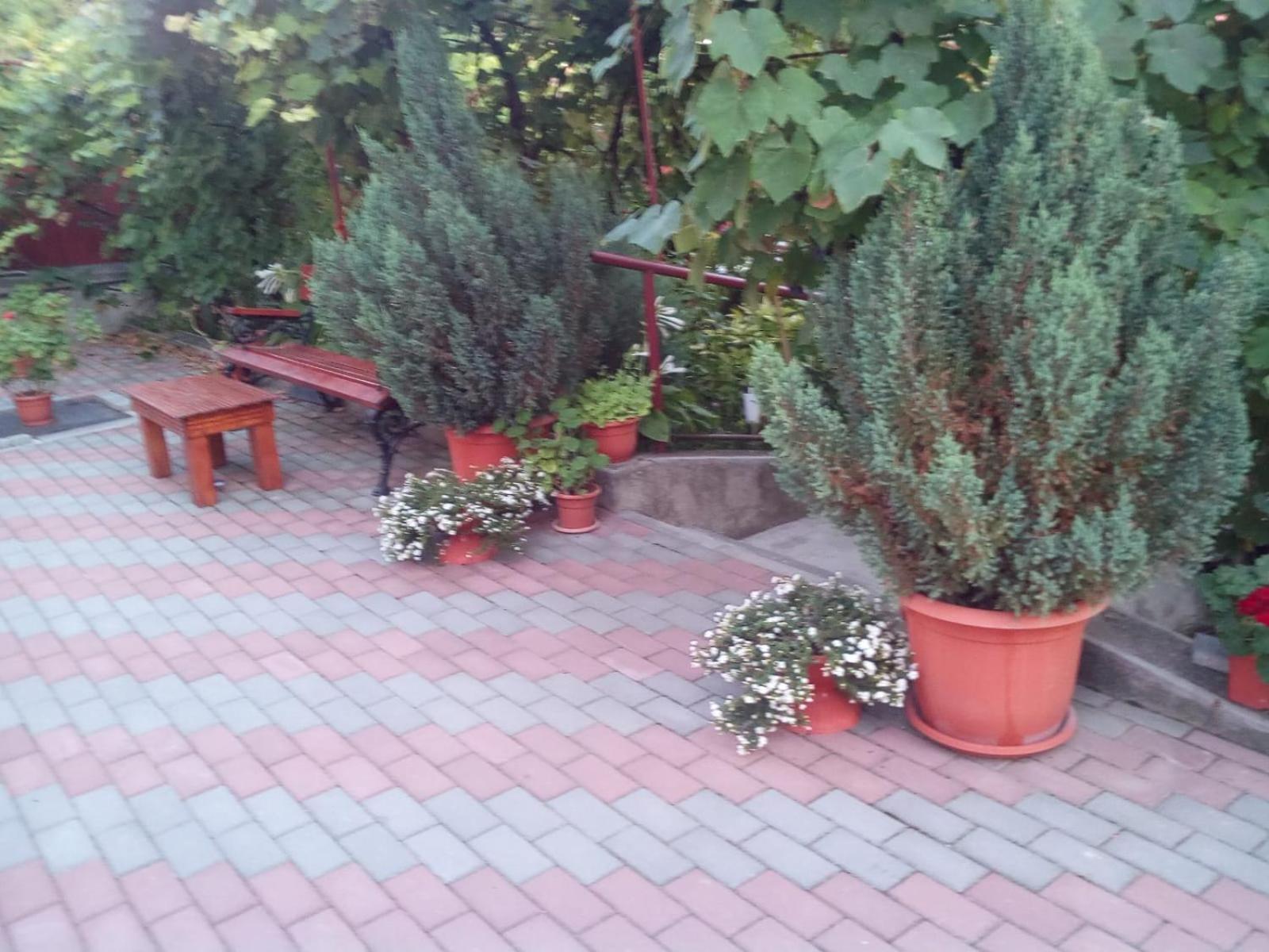 Willa Casa Matei Turda Zewnętrze zdjęcie